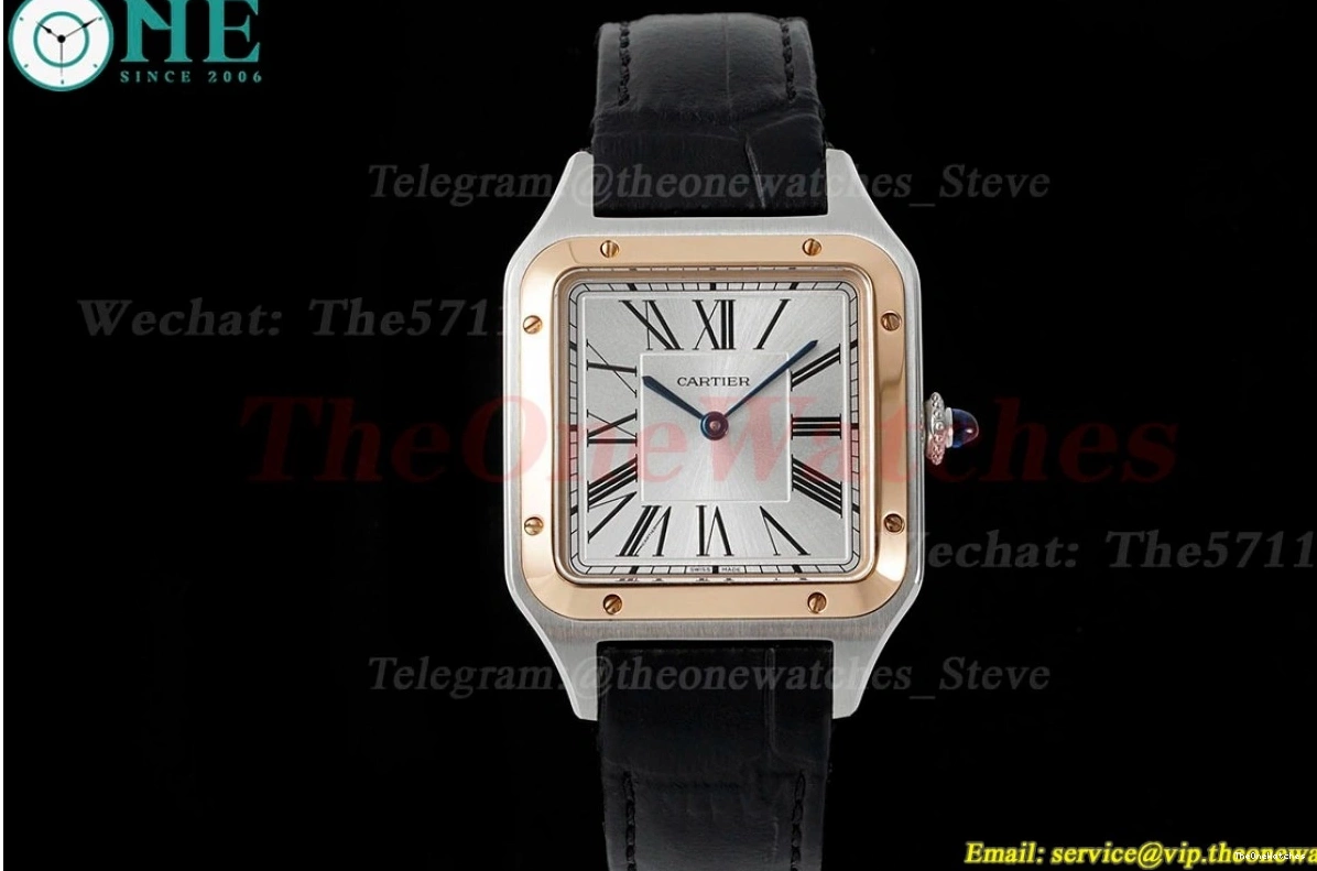 Dial Dumont Quartz Silver Santos Black AF LE RG 0204